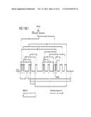 MDM2-Containing Double Minute Chromosomes And Methods Therefore diagram and image