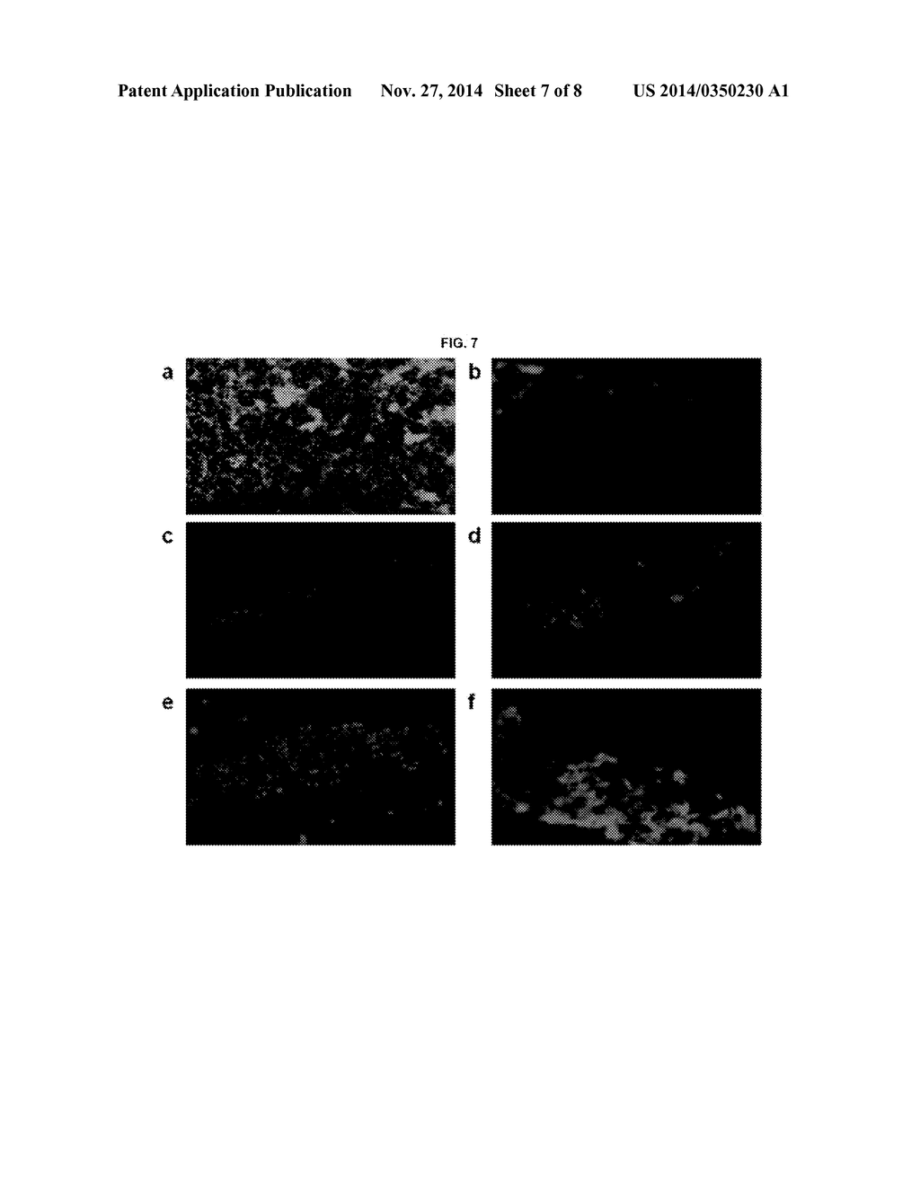 MULTI-FUNCTIONAL NUCLEIC ACID-BASED ANTI-CANCER DRUG CAPABLE OF TARGETING     AND THERAPY, METHOD FOR PREPARING SAME AND ANTI-CANCER COMPOSITION     COMPRISING SAME - diagram, schematic, and image 08