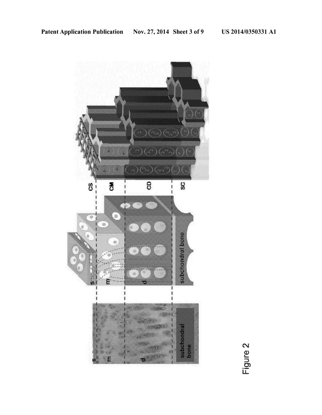 Production of materials having an anisotropic structure - diagram, schematic, and image 04