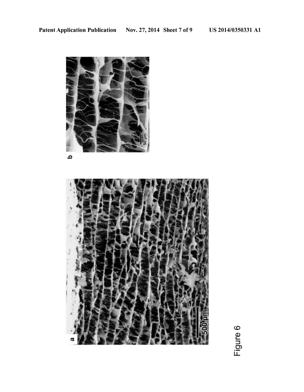 Production of materials having an anisotropic structure - diagram, schematic, and image 08