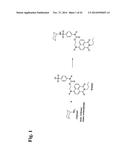 BONDING TISSUES AND CROSS-LINKING PROTEINS WITH NAPHTHALIMIDE COMPOUNDS diagram and image