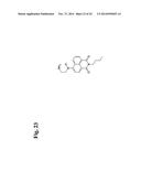 BONDING TISSUES AND CROSS-LINKING PROTEINS WITH NAPHTHALIMIDE COMPOUNDS diagram and image