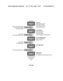 System and Methods for Personalized Clinical Decision Support Tools diagram and image