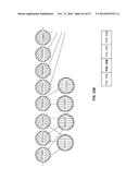 COMPUTERIZED METHOD FOR ANALYZING INNOVATION INTERRELATIONSHIPS WITHIN AND     BETWEEN LARGE PATENT PORTFOLIOS diagram and image