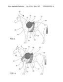 DEVICE FOR SECURING A HORSE-RIDING SADDLE ONTO A HORSE diagram and image