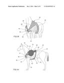 DEVICE FOR SECURING A HORSE-RIDING SADDLE ONTO A HORSE diagram and image