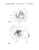 DEVICE FOR SECURING A HORSE-RIDING SADDLE ONTO A HORSE diagram and image