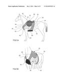 DEVICE FOR SECURING A HORSE-RIDING SADDLE ONTO A HORSE diagram and image