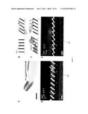 MAGNETICALLY TUNABLE MICROSTRUCTURED SURFACES diagram and image