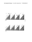 MAGNETICALLY TUNABLE MICROSTRUCTURED SURFACES diagram and image