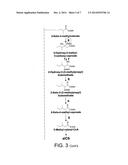 ISOPROPYLMALATE SYNTHASE FROM NICOTIANA TABACUM AND METHODS AND USES     THEREOF diagram and image