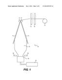 PLASTIC BAGS, ROLLS OF PLASTIC BAGS, AND TUBULAR BLOWN FILM PROCESSES OF     MAKING THE SAME diagram and image