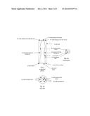 Oxidation Method, Nozzle and System for Treating Waste Water diagram and image