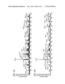 COLLISION ION GENERATOR AND SEPARATOR diagram and image