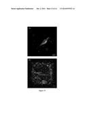 Apparatus and methodology for flow fluorescence microscopic imaging diagram and image