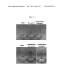 Photosensitive Resin Composition, Black Spacer Prepared by Using the     Composition, and Color Filter Having the Black Spacer diagram and image