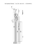 DISPLAY WITH PERIPHERALLY CONFIGURED ULTRASONIC BIOMETRIC SENSOR diagram and image