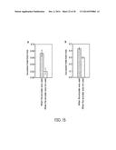 RETINAL ENCODER FOR MACHINE VISION diagram and image