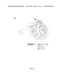 COMPOSITIONS AND METHODS RELATED TO TISSUE TARGETING diagram and image