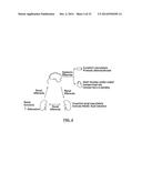 Methods for Therapeutic Renal Denervation diagram and image