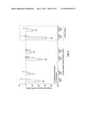 Methods for Therapeutic Renal Denervation diagram and image