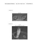 Natural Silicone Replacements for Silicone Fluids in Personal Care     Formulations diagram and image