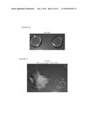 Natural Silicone Replacements for Silicone Fluids in Personal Care     Formulations diagram and image