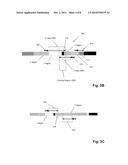 SEQUENCE-BASED MEASURES OF IMMUNE RESPONSE diagram and image