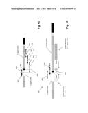 SEQUENCE-BASED MEASURES OF IMMUNE RESPONSE diagram and image