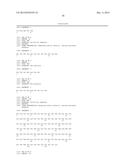 HUMAN GROWTH HORMONE RECEPTOR ANTAGONIST ANTIBODIES AND METHODS OF USE     THEREOF diagram and image