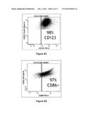 Anti-B7-H4 Antibodies and Their Uses diagram and image