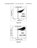 Anti-B7-H4 Antibodies and Their Uses diagram and image