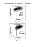 Anti-B7-H4 Antibodies and Their Uses diagram and image