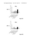 Anti-B7-H4 Antibodies and Their Uses diagram and image