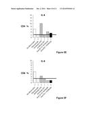 Anti-B7-H4 Antibodies and Their Uses diagram and image