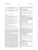 Anti-B7-H4 Antibodies and Their Uses diagram and image