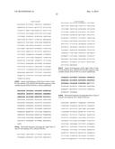 Anti-B7-H4 Antibodies and Their Uses diagram and image