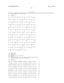 Anti-B7-H4 Antibodies and Their Uses diagram and image