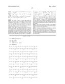 BMP-1 Procollagen C-Proteinase for Diagnosis and Treatment of Bone and     Soft Tissue Defects and Disorders diagram and image