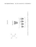 METHODS OF PURIFYING HETERODIMERIC PROTEINS USING IMMUNOGLOBULIN CLASS     SWITCHING diagram and image