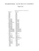 METHODS OF PURIFYING HETERODIMERIC PROTEINS USING IMMUNOGLOBULIN CLASS     SWITCHING diagram and image