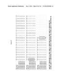 METHODS OF PURIFYING HETERODIMERIC PROTEINS USING IMMUNOGLOBULIN CLASS     SWITCHING diagram and image