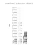 METHODS OF PURIFYING HETERODIMERIC PROTEINS USING IMMUNOGLOBULIN CLASS     SWITCHING diagram and image