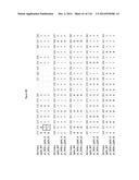 METHODS OF PURIFYING HETERODIMERIC PROTEINS USING IMMUNOGLOBULIN CLASS     SWITCHING diagram and image