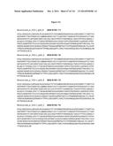 METHODS OF PURIFYING HETERODIMERIC PROTEINS USING IMMUNOGLOBULIN CLASS     SWITCHING diagram and image