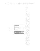 METHODS OF PURIFYING HETERODIMERIC PROTEINS USING IMMUNOGLOBULIN CLASS     SWITCHING diagram and image