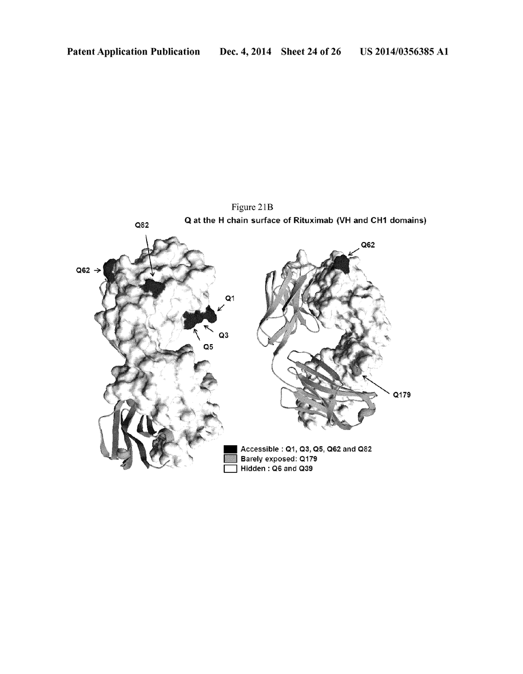 ENZYMATIC CONJUGATION OF ANTIBODIES - diagram, schematic, and image 25