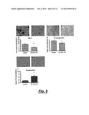 COMPOSITIONS FOR BINDING TO AMYLOID PROTEINS diagram and image