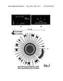 COMPOSITIONS FOR BINDING TO AMYLOID PROTEINS diagram and image