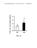 AGENT FOR ACTIVATING SIRTUIN GENE CONTAINING EGG SHELL MEMBRANE INGREDIENT     AND COMPOSITION USING THE SAME diagram and image